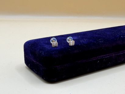 Paire de puces d'oreilles rectangulaires...