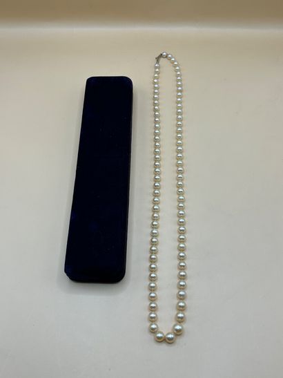 Collier en perles de culture crème à nuance...