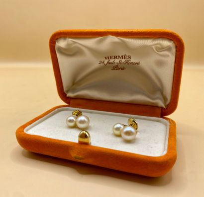 Paire de boucles d'oreilles dormeuses en...