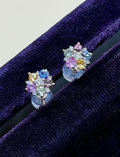 Paire de puces d'oreilles 