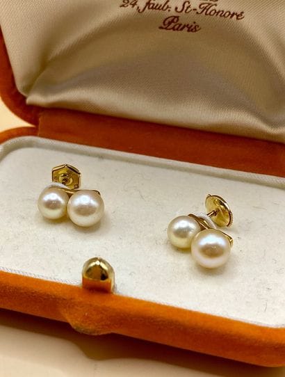 Paire de boucles d'oreilles dormeuses en...
