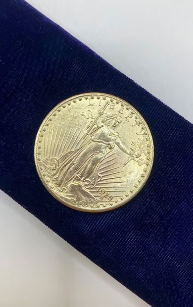 Liberty 1928 US $20 gold coin. 

Lot sold...