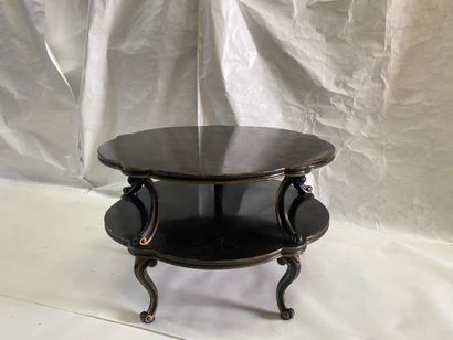 Elégante table à thé ou table basse de salon...