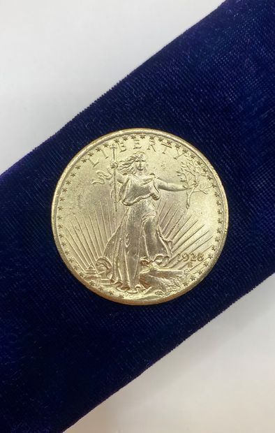 Liberty 1928 US $20 gold coin. 

Lot sold...