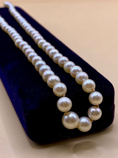 Champagne-tinted cream cultured pearl necklace,...