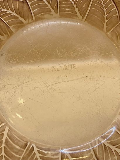 René LALIQUE (1860-1945)
