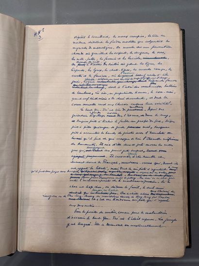 [MANUSCRIPT]. CHACK (Paul). Hoang Tham, Pirate.
Complete...