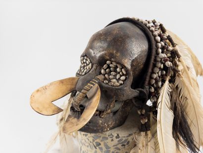 Asmat. 
Trophy skull inlaid with seeds in...