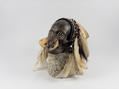 Asmat. 
Trophy skull inlaid with seeds in...