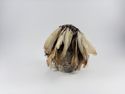 Asmat. 
Trophy skull inlaid with seeds in...