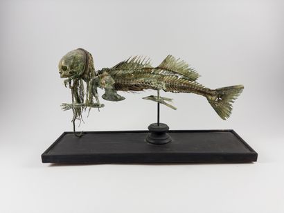 Fiji mermaid.
Taking the form of a chimeric...