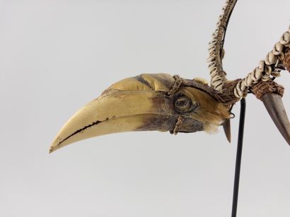 Asmat. 
Hunter's ornament decorated with...