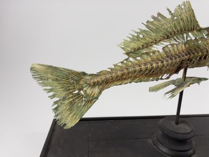 Fiji mermaid.
Taking the form of a chimeric...