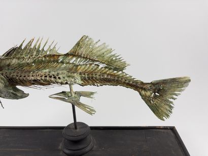 Fiji mermaid.
Taking the form of a chimeric...