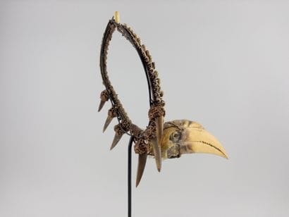 Asmat. 
Hunter's ornament decorated with...