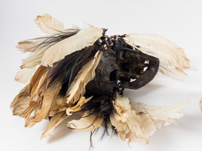 Asmat. 
Trophy skull inlaid with seeds in...