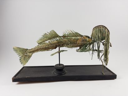 Fiji mermaid.
Taking the form of a chimeric...
