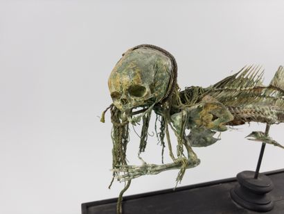 Fiji mermaid.
Taking the form of a chimeric...