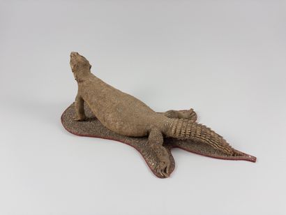 Whiptail lizard.
Uromastyx. Mounted on an...