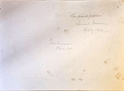 Léonard Misonne (Belgium, 1870–1943).
The...