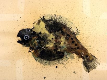 Lionel Sabatté (France, 1975).
Turbot, July...