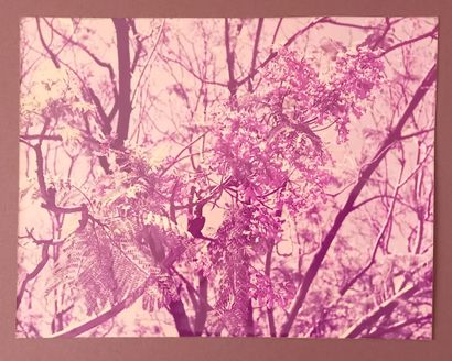 Important set of photographs including prints...