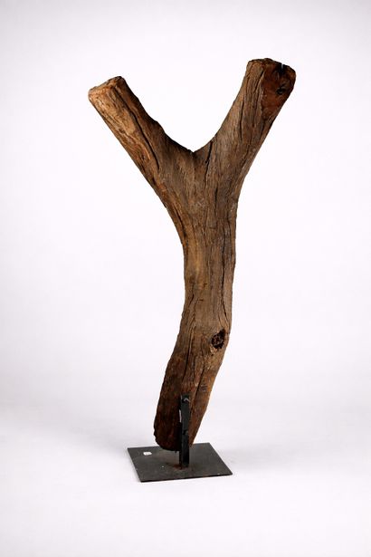 Échelle Dogon
Mali
Bois sculpté- Patine brillante
19ème...