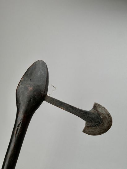 Herminette République Démocratique du Congo
Bois,...