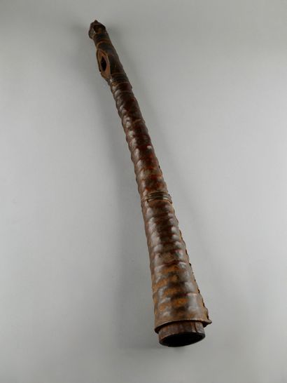Oliphant, République Démocratique du Congo
Bois,...