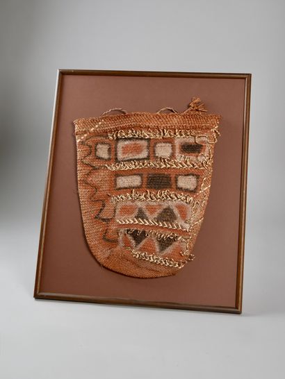 Asmat bag, Irian Jaya, Indonesia (inset)
Plant...