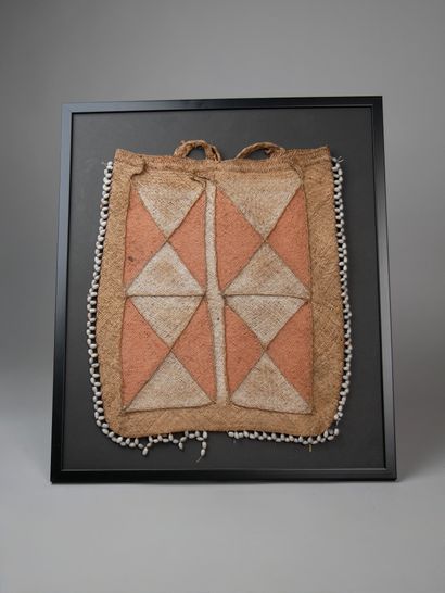 Asmat bag, Irian Jaya, Indonesia (inset)
Plant...
