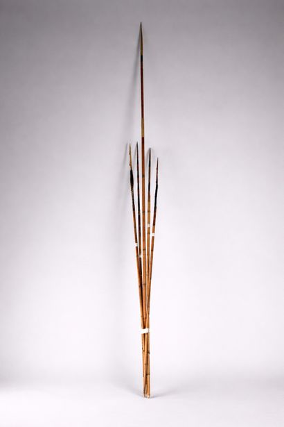 Set of assegais
Papua New Guinea
H: 174 cm...