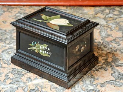 Hardstone marquetry case with ebony moldings....