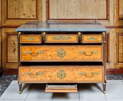 Rectangular chest of drawers with lemon and...