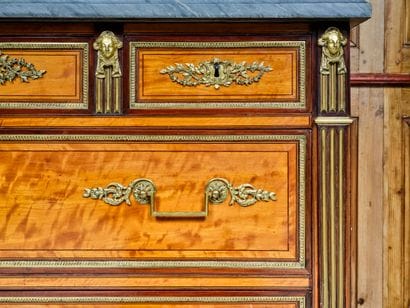 Rectangular chest of drawers with lemon and...