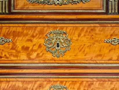 Rectangular chest of drawers with lemon and...