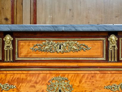 Rectangular chest of drawers with lemon and...