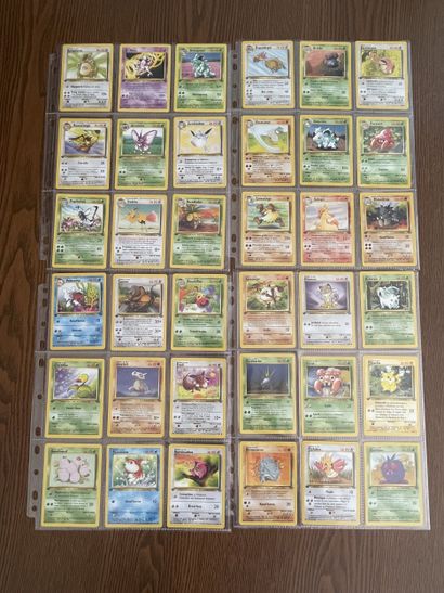 JUNGLE Bloc Wizards 1ère édition
Ensemble...
