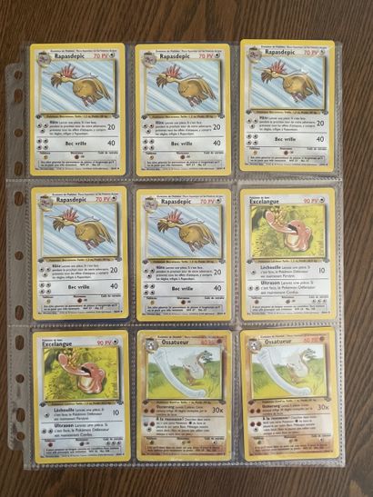 JUNGLE Bloc Wizards 1ère édition
Ensemble...