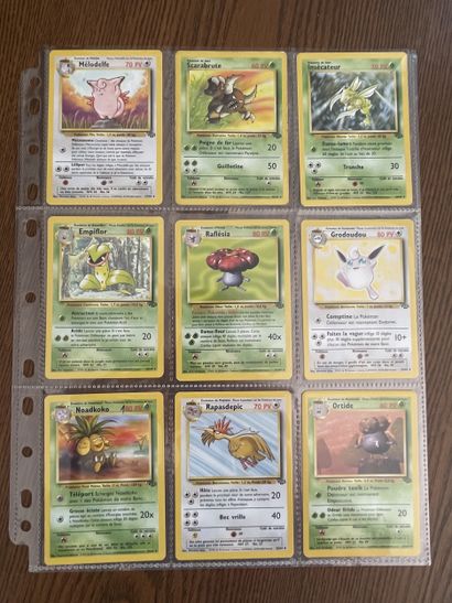 JUNGLE Bloc Wizards 2e édition
Ensemble de...
