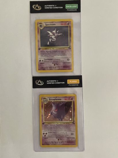 FOSSILE Bloc Wizards 1ère édition
Deux CARTES...