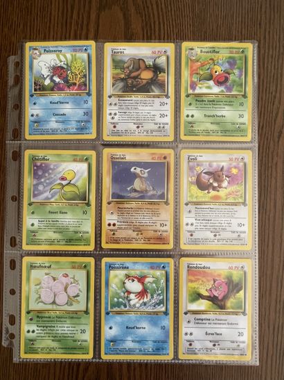 JUNGLE Bloc Wizards 1ère édition
Ensemble...