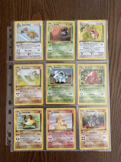 JUNGLE Bloc Wizards 1ère édition
Ensemble...