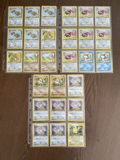 JUNGLE Bloc Wizards 1ère édition
Ensemble...