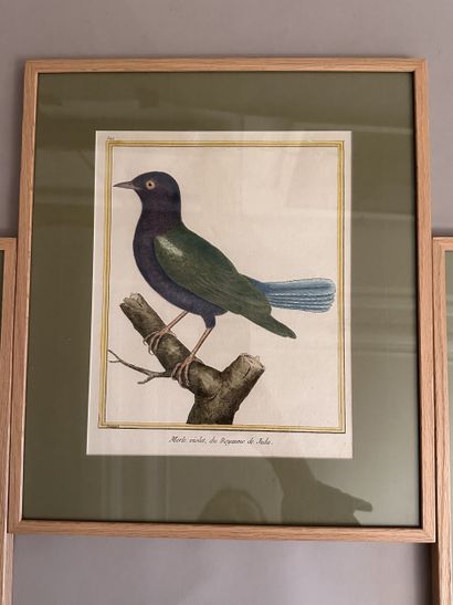 Cinq GRAVURES rehaussées à l'aquarelle à...