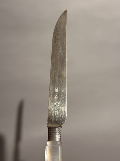 12 fruit knives, silver blade and mother-of-pearl...