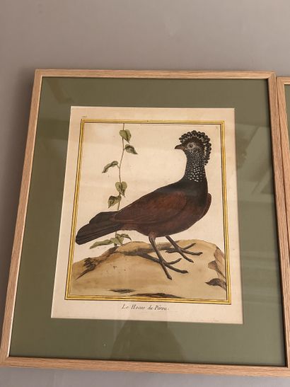 Cinq GRAVURES rehaussées à l'aquarelle à...