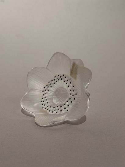 LALIQUE FRANCE, FLEUR anémone en cristal...