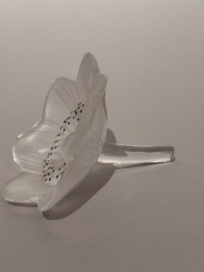LALIQUE FRANCE, FLEUR anémone en cristal...