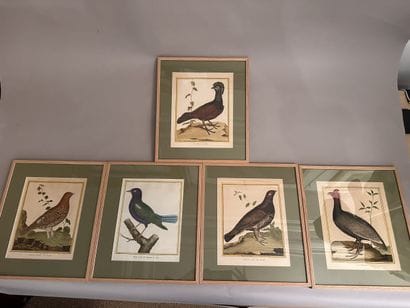 Cinq GRAVURES rehaussées à l'aquarelle à...